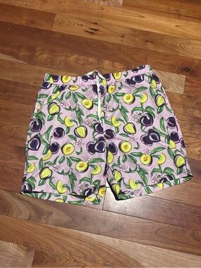 MOTT50 Swim Trunks Honey Plum Fruit Purple Large UPF50